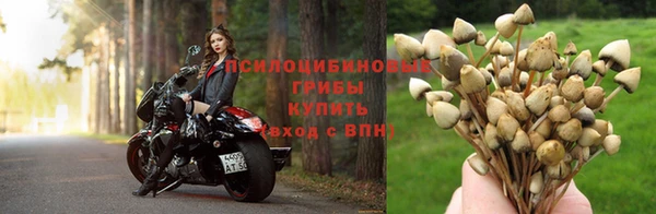 экстази Беломорск